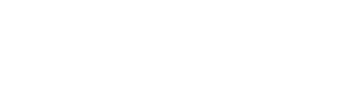 Sabbagh Group Companies